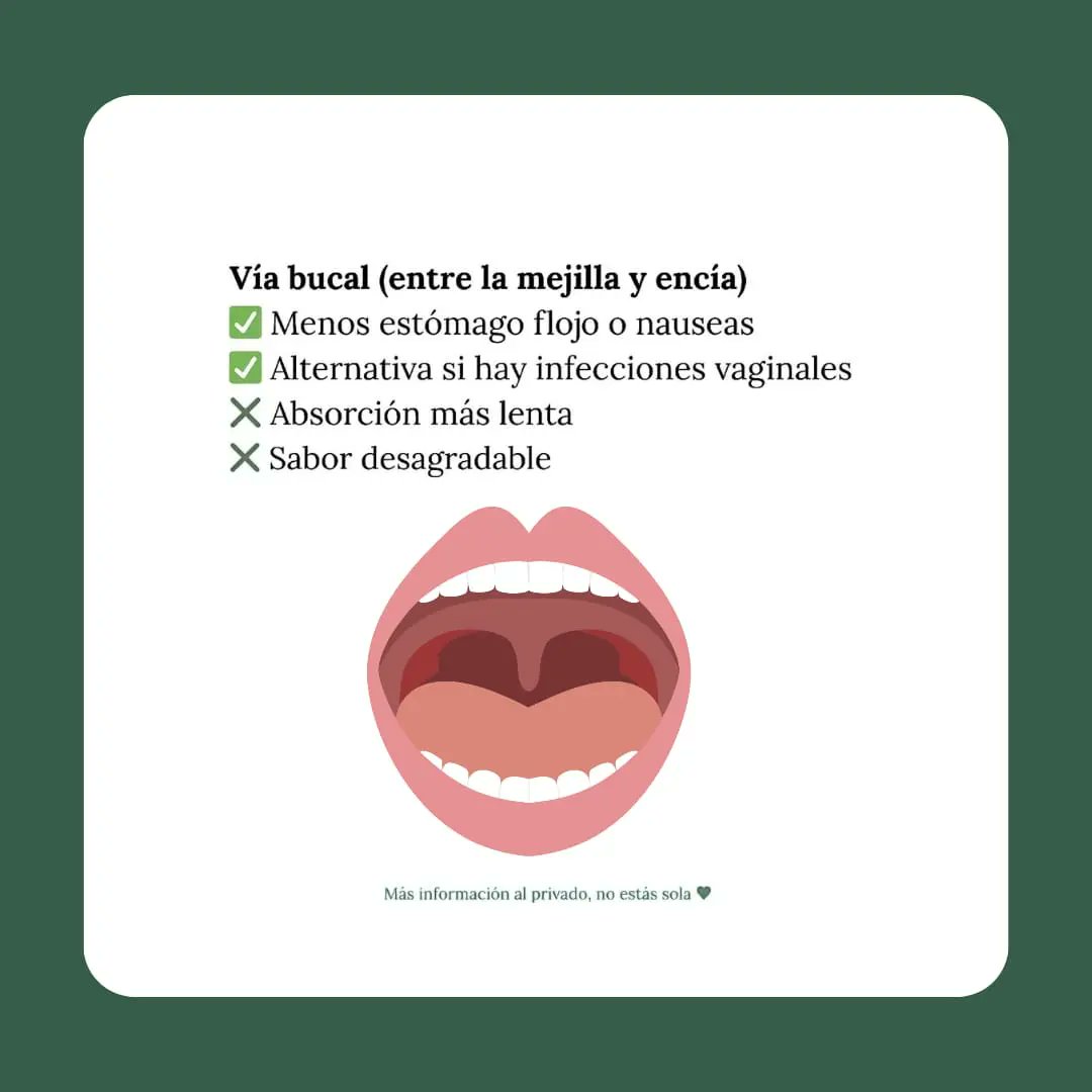 No_EstasSola_Pe's tweet image. ¿Cómo se usa el miso?
Si necesitas ayuda, escríbenos. No estás sola, nuestra ayuda es gratuita. 💚🫶🏽l
📲Escríbenos: +51919725818
.
.
.
.
.
.
#Peru #abortolegal #misoprostol #mareaverde #feminismo #Tendencias #Lima