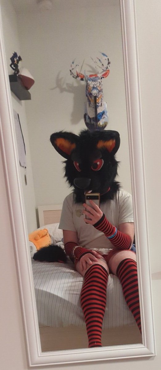 TuxedoTheFusky's tweet photo. Femboy mode https://t.co/6aStS7XRCc