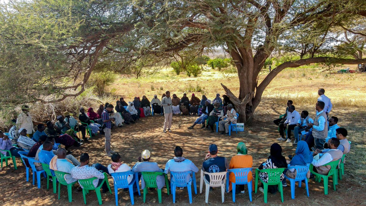 FAOSomalia's tweet photo. FAO team with @MoLAH_Puntland and partners from @SwedeninSomalia visited project sites in Galkayo District to understand how the drought is impacting communities. Fodder production and livelihood diversification are rendering pastoral communities more resilient to climate shocks. https://t.co/By9M7IzkJM