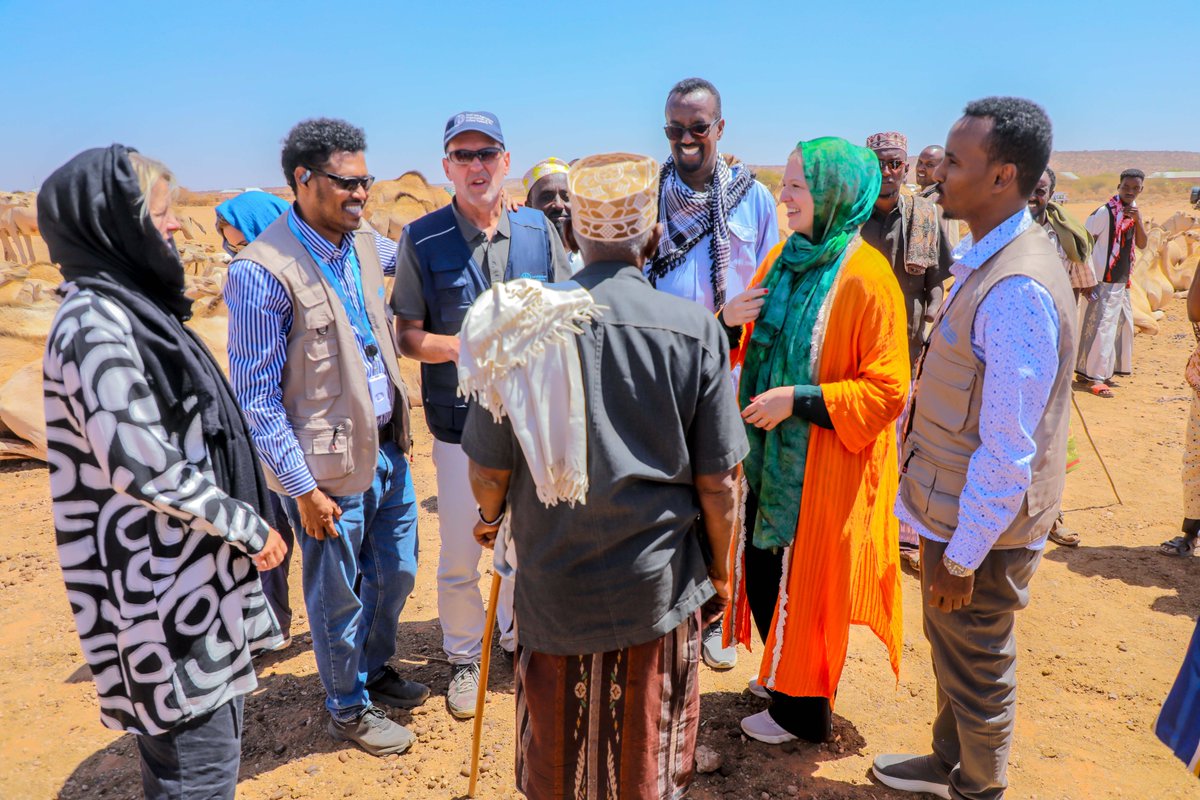 FAOSomalia's tweet photo. FAO team with @MoLAH_Puntland and partners from @SwedeninSomalia visited project sites in Galkayo District to understand how the drought is impacting communities. Fodder production and livelihood diversification are rendering pastoral communities more resilient to climate shocks. https://t.co/By9M7IzkJM