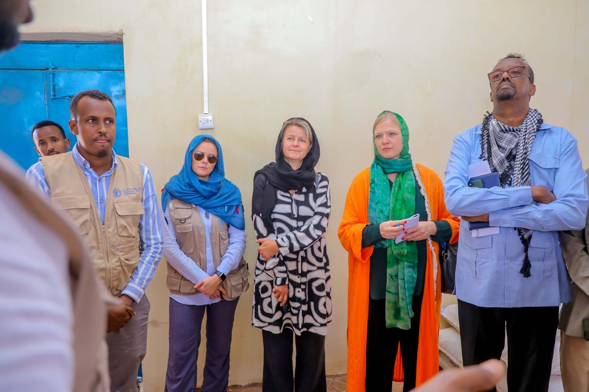 FAOSomalia's tweet photo. FAO team with @MoLAH_Puntland and partners from @SwedeninSomalia visited project sites in Galkayo District to understand how the drought is impacting communities. Fodder production and livelihood diversification are rendering pastoral communities more resilient to climate shocks. https://t.co/By9M7IzkJM