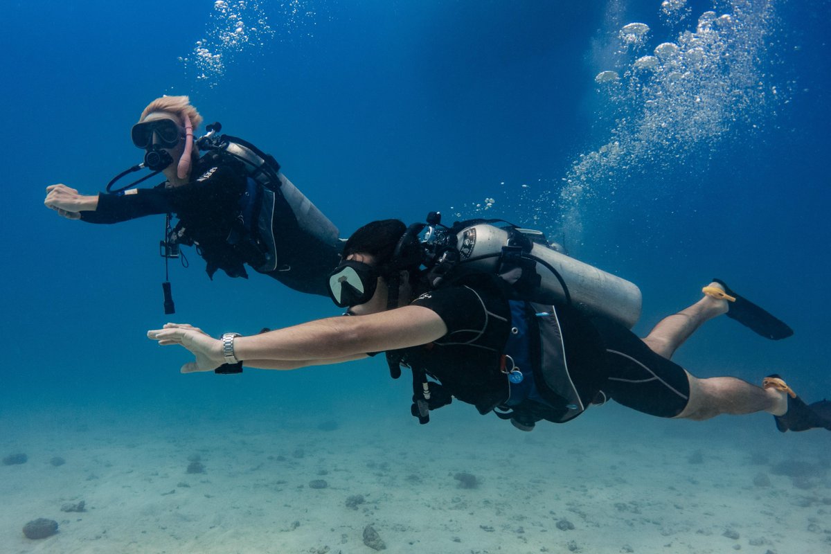 blackturtledive's tweet photo. We will provide you with a bespoke, relaxed and enjoyable fun diving experience. We will show the best of everything that there is to see, at dive sites suitable for your level of training and experience. https://t.co/L6Ys3vi6yL #FunDive #KohTao #scuba #Thailand #Fun https://t.co/K9omKUeQJk