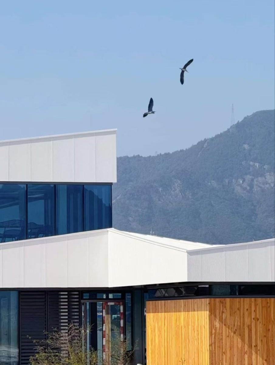 ailuqiao123's tweet image. Found my new favorite spot! Sleek modern architecture nestles by the mountains, with birds gliding overhead—total Instagram gold! 📸
#TravelVibes #ArchitectureLovers #NatureGetaway #PhotoSpot #Luqiao