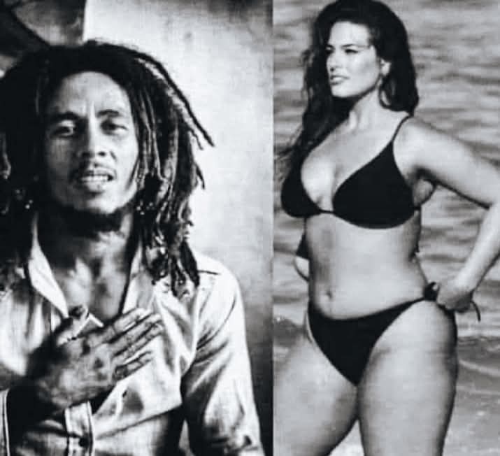 Borboleta silenciosa tweet media