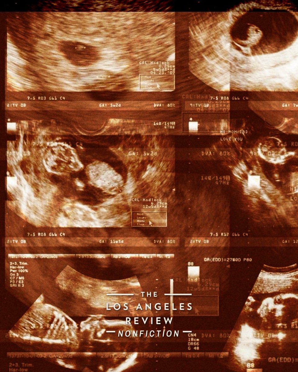 Los Angeles Review tweet media