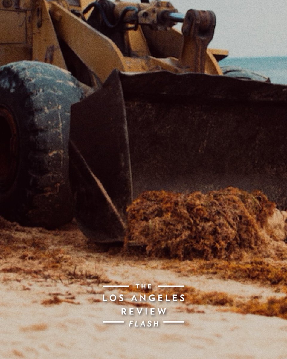 Los Angeles Review tweet media