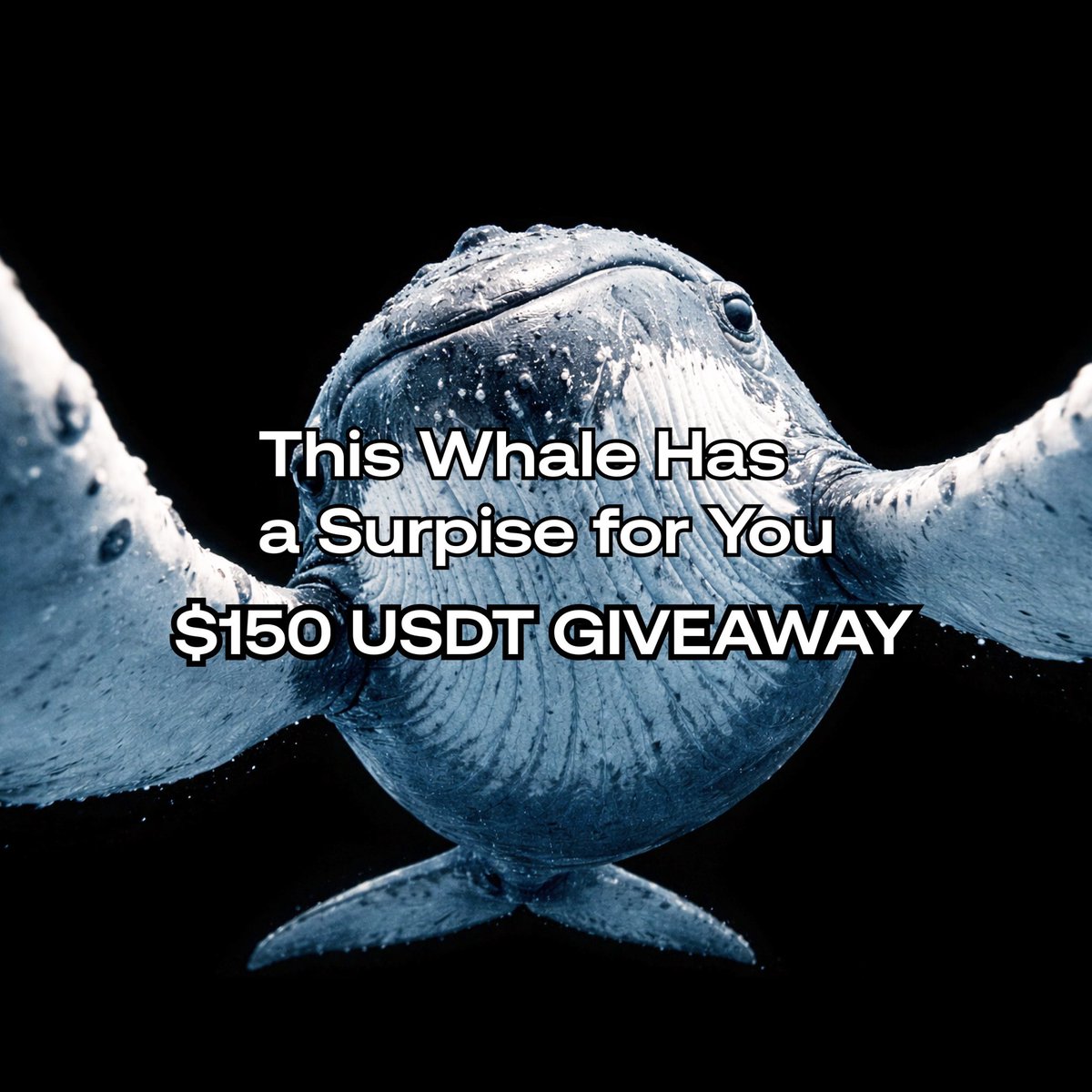 150 USDT BloFin GIVEAWAY!

Follow <a href="/BloFin_Official/">BloFin Exchange</a>, RT &amp; like, @ 3 friends.

4 winners will be announced.