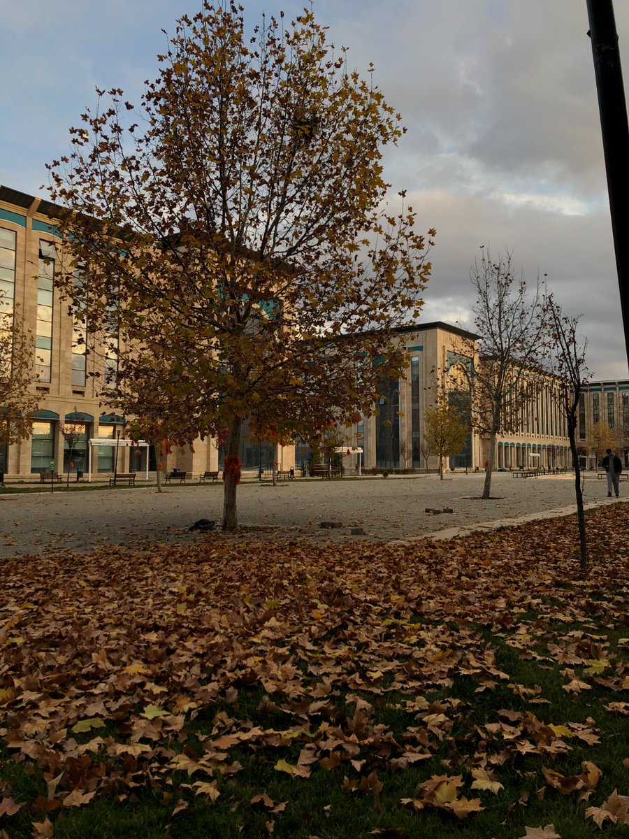 Kampüsün En Güzel Hali: Senin Gözünden 🥳

Bu haftanın en beğenilen fotoğrafı İnsan ve Toplum Bilimleri Fakültesi, Türk Dili ve Edebiyatı Bölümü öğrencimiz Elif İrem ÜNLÜ'den 

<a href="/acengizkoseoglu/">Ali Cengiz Köseoğlu</a>