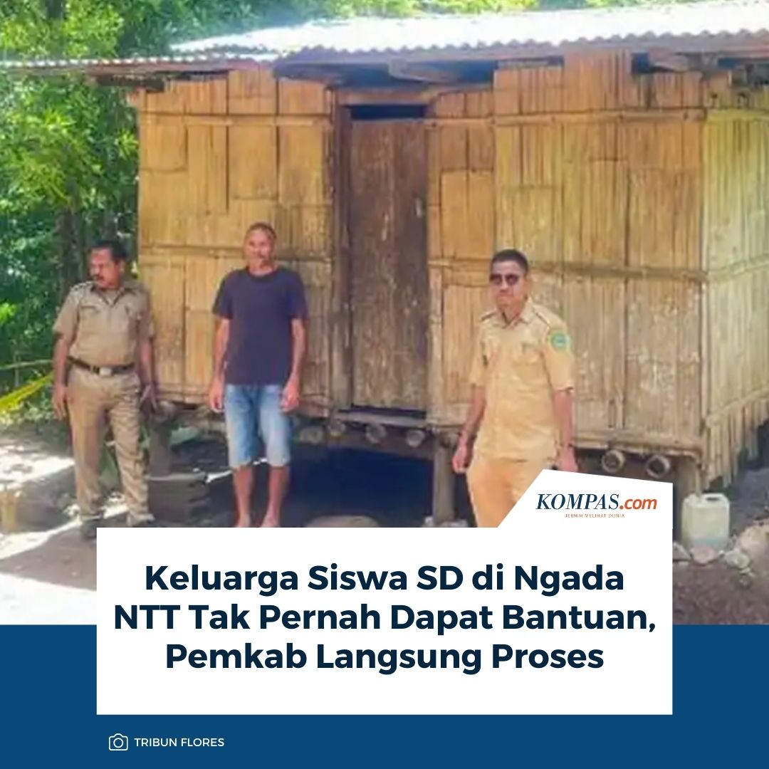 Keluarga Siswa SD di Ngada NTT Tak Pernah Dapat Bantuan, Pemkab Langsung Proses

Baca di regional.kompas.com/read/2026/02/0…