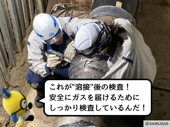 SaibugasGroup's tweet photo. ＼ガスぼうやと知る西部ガスプライド／
今日は北九州供給部のネットワーク整備グループにやって来たよ！

「ネットワーク」って聞くと、最初はコンピューターの事かな？って思わなかった！？
ここでいう「ネットワーク」は、北九州のお客さまにガスを送るための太くて大きなガス管のつながりのことをさしていて、このグループではそのガス管を整備するとっても大切なお仕事をしているんだって！⛑️💨

突然だけど、みんなは天然ガスが “環境にやさしい“ 燃料だって知ってた？
このグループでは工場とかで使われている燃料を天然ガスに変更するための工事も担当しているんだよ🌿
 地球温暖化を防いで地球とみんなの未来を守ってくれているんだね✨

そして、この工事で整備した大きなガス管も欠かせない設備の一つで、たくさんのガスを強い力で送りだす役割があるんだ！
そのために、設計やガス管のつなぎ方には“特別”な知識と経験が必要なんだって！

今日はその仕事を、ぼくが1日かけて体験してきたよ！✏️
まずは、重要な工事について！
最初に当日の作業内容をおさらいして、手順が間違いないことをひとつひとつ確認するんだって！
実際に工事が始まると大きなキリン？が登場!!？
これは大型のクレーン車で、大きなガス管を設置するときに使ってるんだって🏗️
そしてその後は、高度な技術が必要な “溶接” という方法でガス管をつないでいくよ！
一つ一つしっかり検査を行っているんだね～👀

工事の後は勉強会！
専門の知識をゲットするためには毎日の勉強が欠かせない！📖
工事の「プロ」を育てるために、色んな部署から色んな知識を持った人に参加してもらって、みんなで「勉強会」をしているんだって！
ぼくもプロのガスマンになりたいから勉強会に参加してきたんだけど、みんなと～っても優しく教えてくれたよ😊

『人を、街を、社会をつなぎ、未来をつくる。』 そのために、ネットワーク整備グループのみんなは頑張っているんだね🦸‍♂️
ぼくもいつかは、みんなの暮らしを支えるガスマンになりたいな！✨

＃ガスぼうや ＃西部ガスプライド #プロがほんとにすごいんです