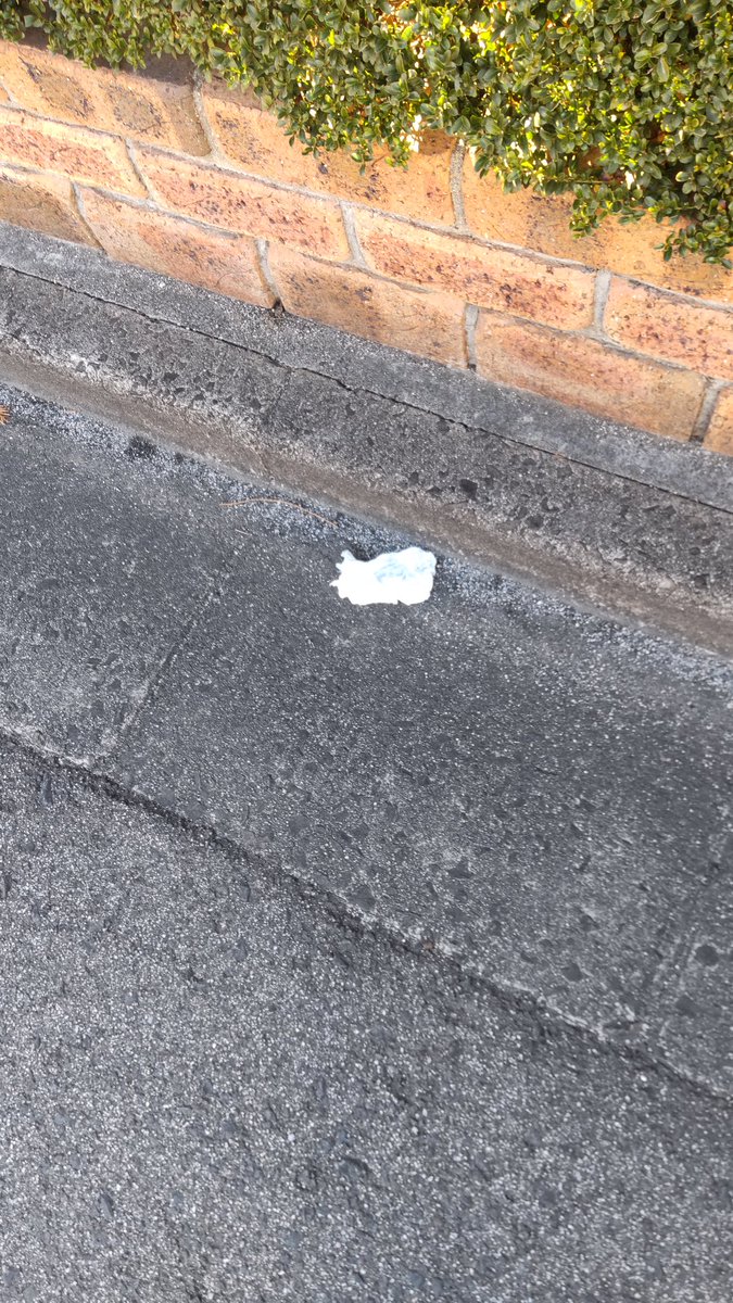 こんにちは😃☀️
窓を開けたり
庭で裸足になってグランディングしたらとても気持ちが良かった💖
 #ゴミ拾い も達成感があった🍀
#福拾い
#継美隊
#一日一愛
#立春