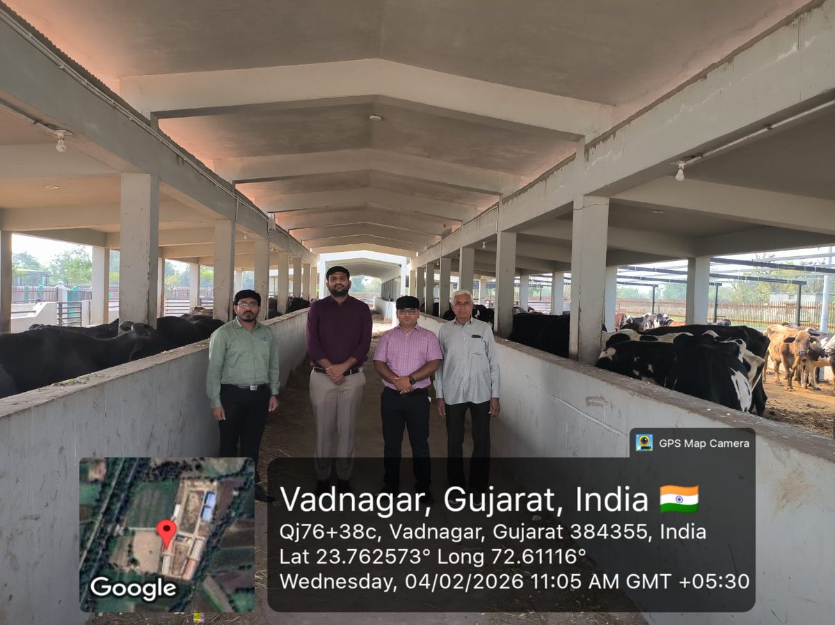 ગૌમાતા પોષણ યોજના સહાય અંતર્ગત તાલુકા કક્ષાની સમિતિ દ્વારા આજ રોજ જીવરક્ષક પાંજરાપોળ વડનગરની મુલાકાત લેવામાં આવી ,<a href="/CollectorMeh/">Collector Mehsana</a> <a href="/SdmKheralu1/">SDM Kheralu</a>