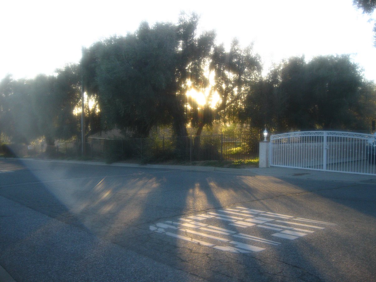 holdingawish's tweet image. 