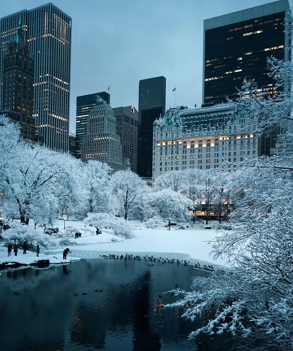 Central Park, New York