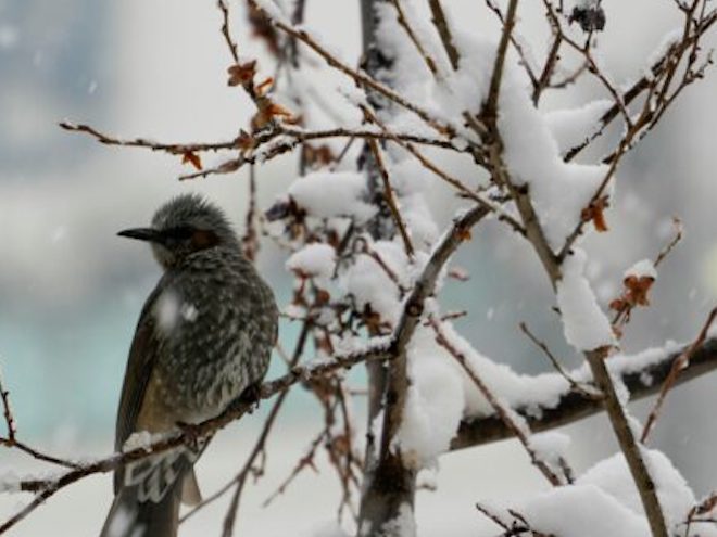 Nicholas "Dr. Breakfast" Dekker tweet media