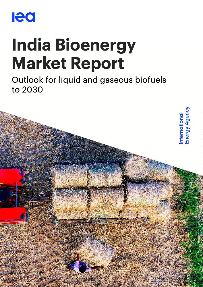 India’s bioenergy sector is set to play an important role underpinning the country’s rapidly growing energy markets as robust policy frameworks boost ethanol and compressed biogas production and open new opportunities for biodiesel and sustainable aviation fuels, according to a