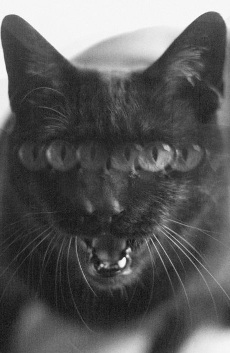 𝖆𝖗𝖙𝖟~𝖓𝖔𝖜 (@artznow_) on Twitter photo 