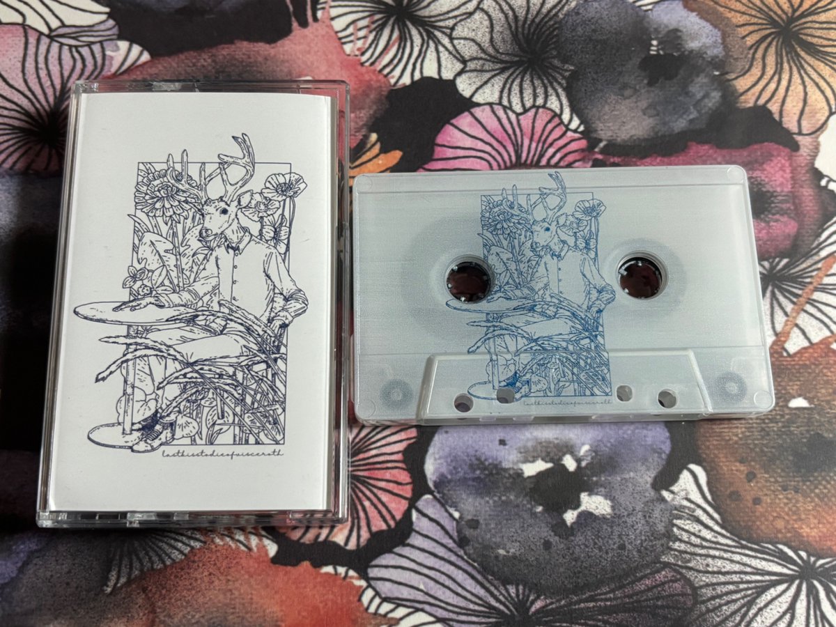 インドネシアからスクリーモバンドLASTKISSTODIEOFVISCEROTHのカセットテープ4曲入りEP作品になります
定石的なスクリーモながらもメロディからはどことなく東南アジアテイストを感じられます　2曲目はゲスト女性ボーカル入りで素敵です
slowdownrecords.bandcamp.com/album/lastkiss…