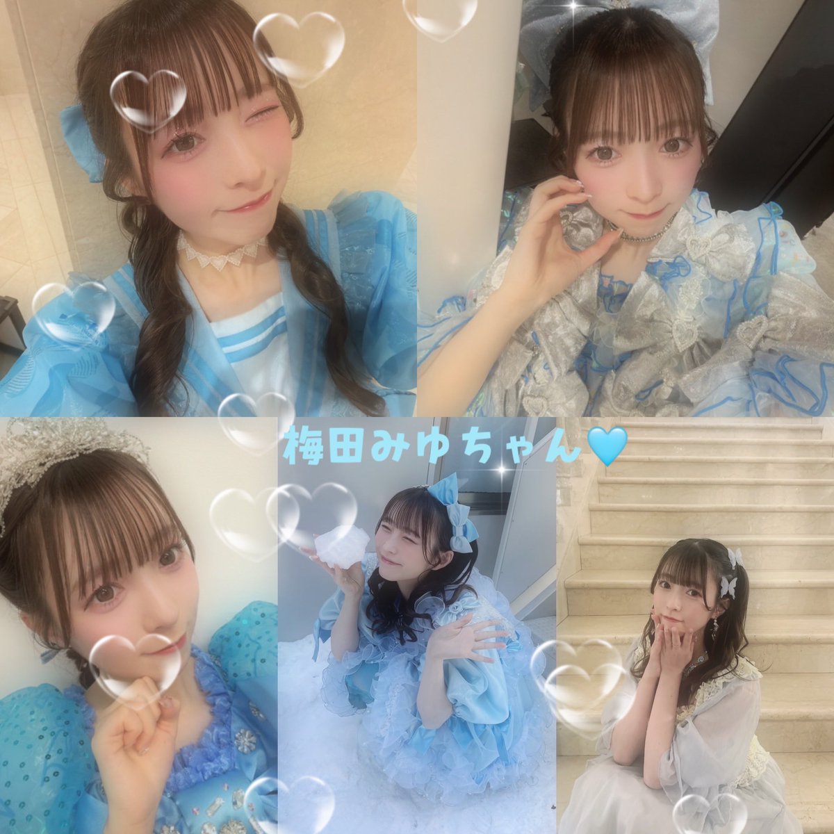 くらげ🪼 tweet media