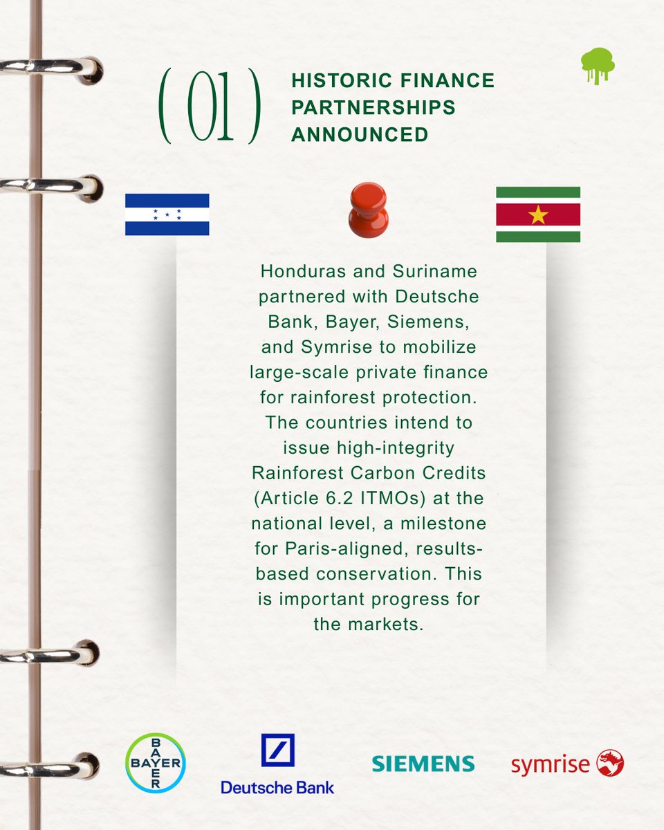 Coalition for Rainforest Nations tweet media