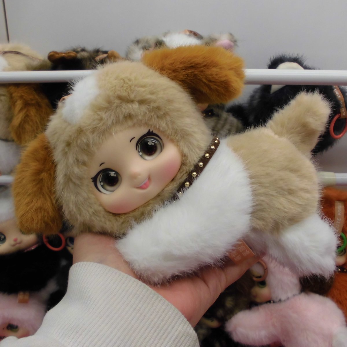 入荷案内🤩

ふぃぎゅぐるみキュートファミリーくつろぎロンロン

ふわふわかわいい子達が来ました💕
是非お迎えしてくださいね✨

#中華系ドール