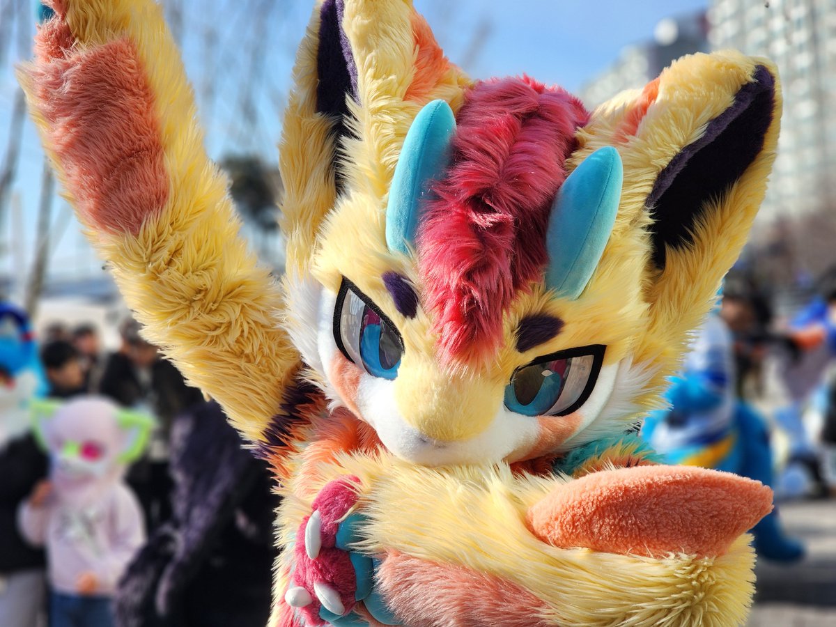 삼구 SAMGU 39 tweet media