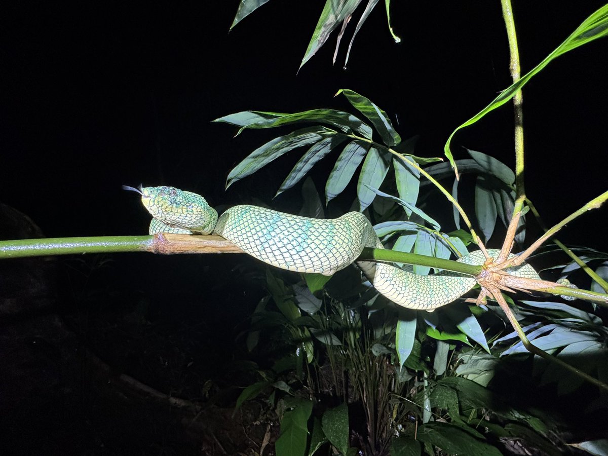 ワケあって動画の編集ができない状況にあります が、電動リールで有名