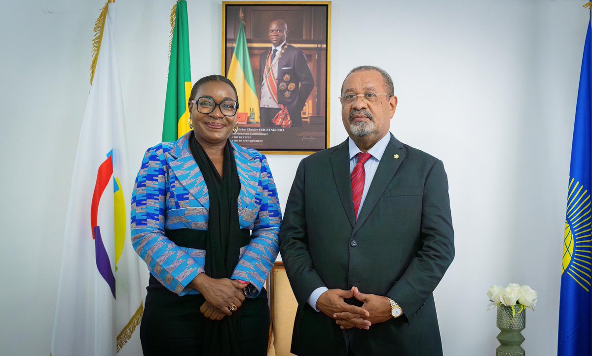 PNUD GABON tweet media