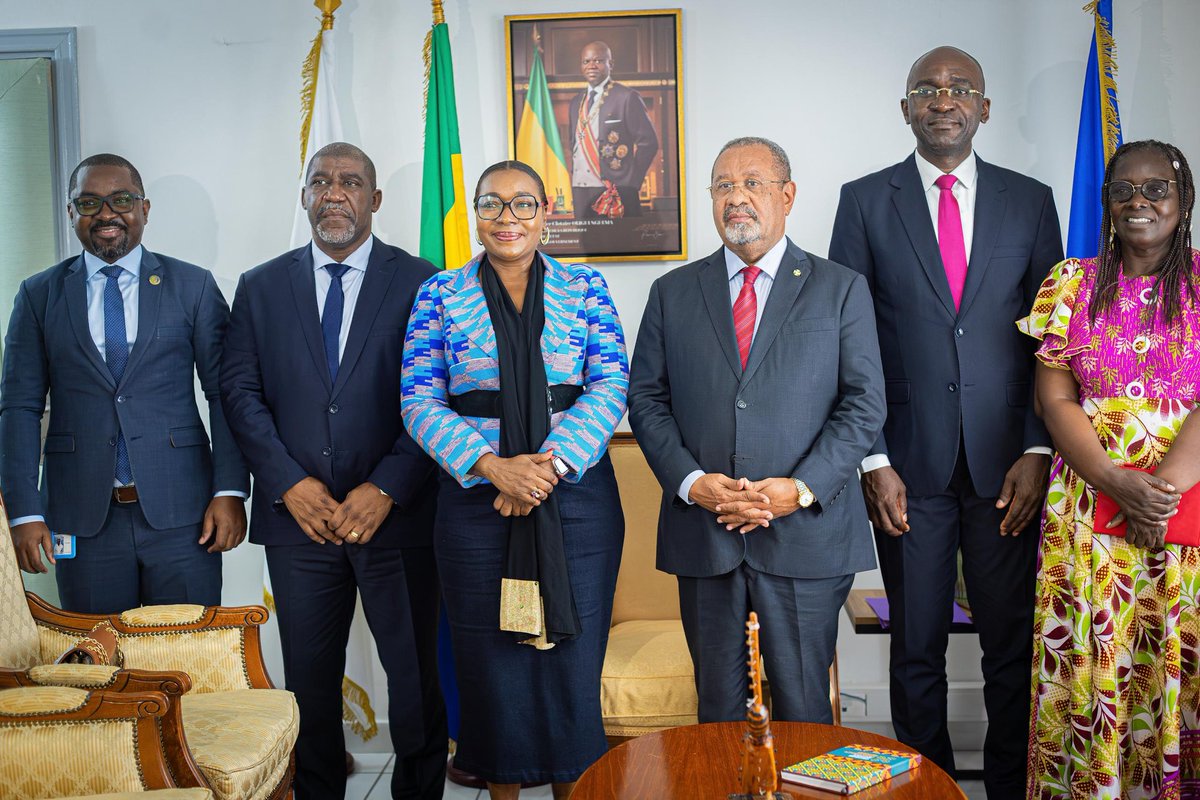 PNUD GABON tweet media