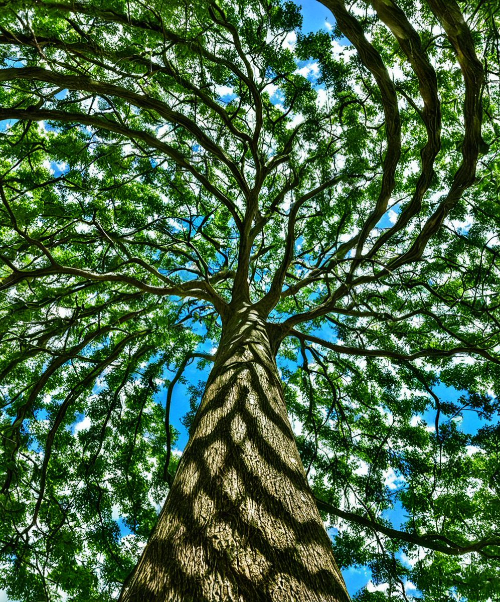 bootleg_images_bot(twee!:void(0)-+**** (@chronic_clinic_) on Twitter photo 