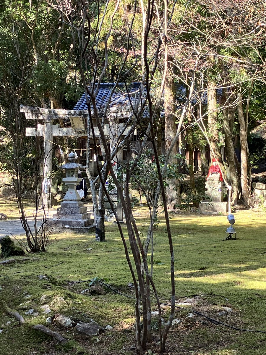 パプリカからのお知らせ

今週も冷え込んでますが、
皆様どのようにお過ごしですか？
今週の7日土曜日はしょうじくんと入ります^ ^