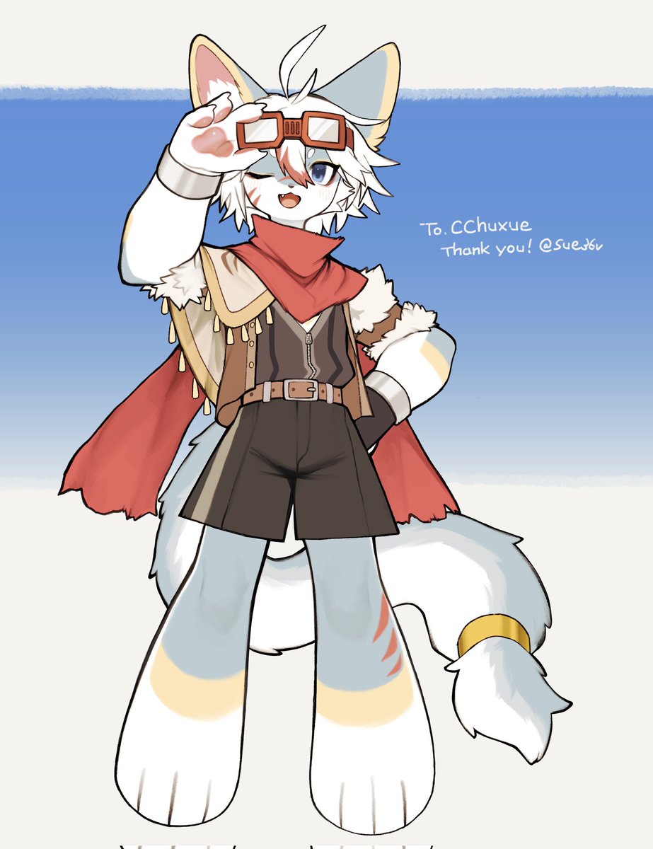 CChuxue初雪 tweet media