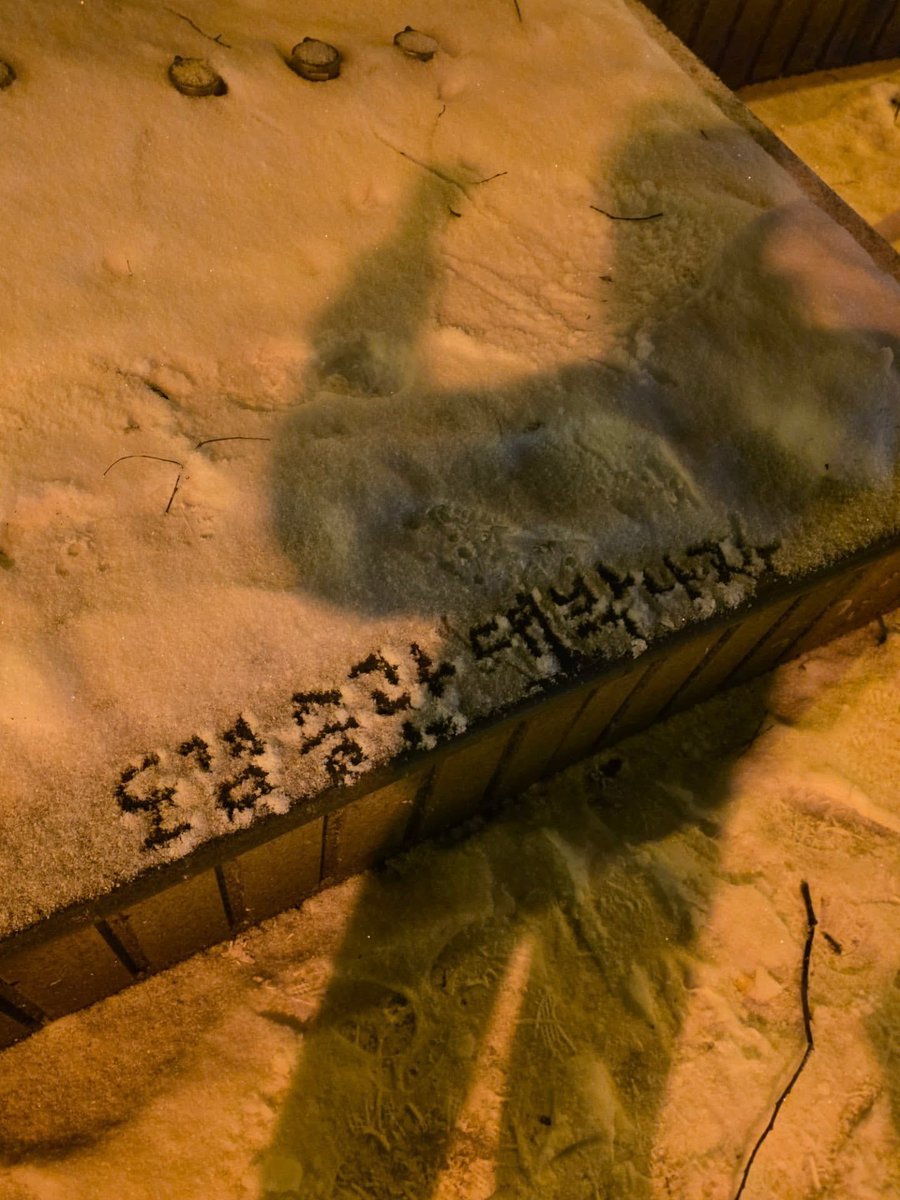 쿱정원 (@wonubliss) on Twitter photo 