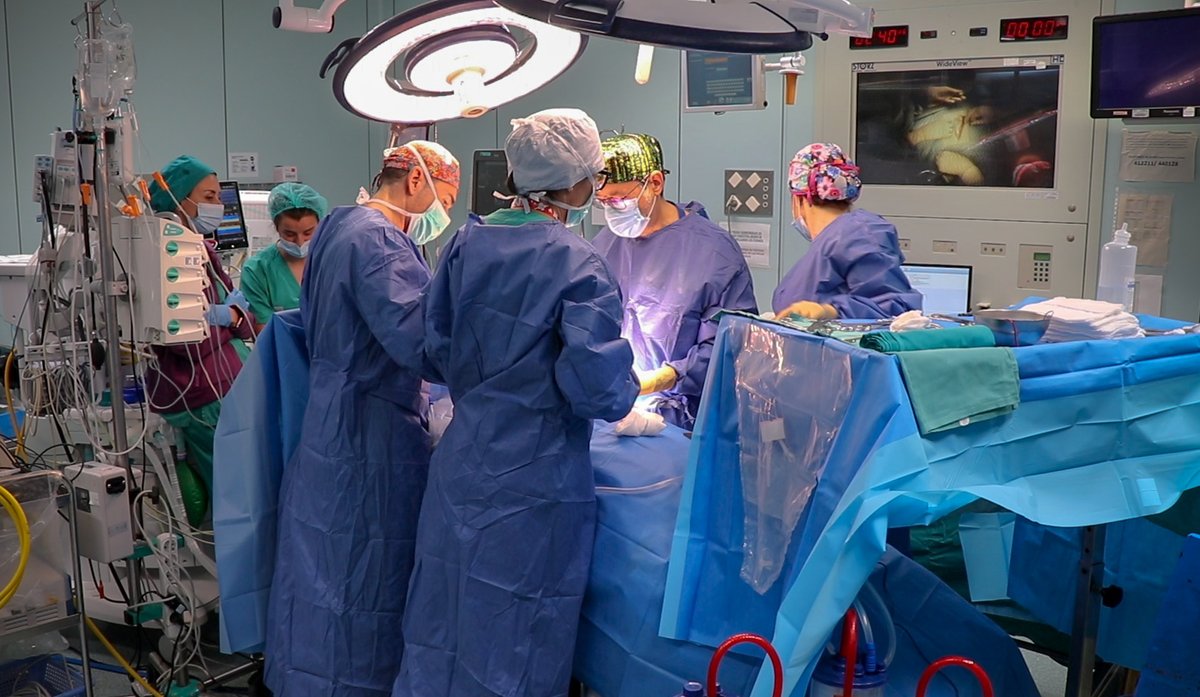 HospitalLaFe tweet media