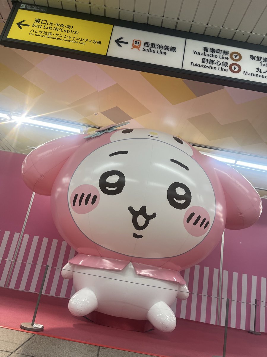 大道芸人ジーニー（じいにい） (@daidougei4ziini) / Posts / X