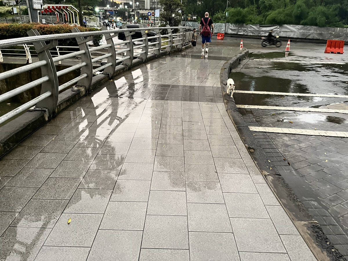 TfJakarta's tweet image. Jangan ada lagi yang memberi ide, trotoar pakai ubin kayak gini.

Licin bukan main saat hujan 😑
^g