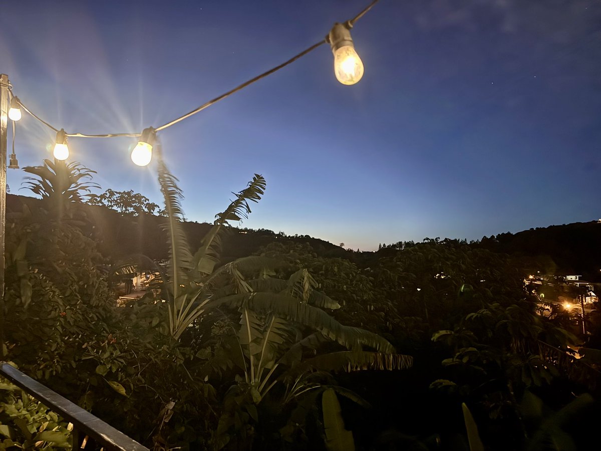 Gloria Melania Rodríguez Molina tweet media