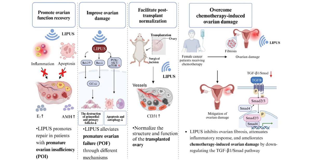 BIOIntegration tweet media