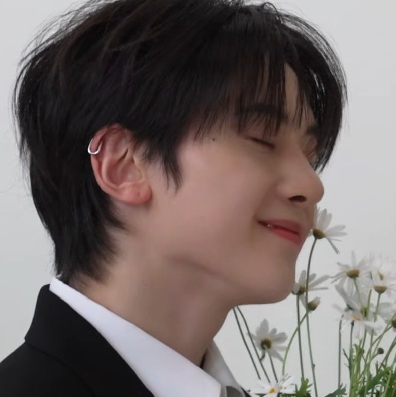 seok matthew archive tweet media