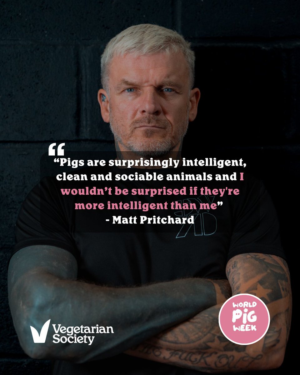 vegsoc's tweet photo. Smart, social, and full of personality. Pigs are truly remarkable. 🐷 And Matt Pritchard says so! This World Pig Week, choose kindness over consumption. 

👉 Sign up now for your FREE digital booklet: https://t.co/lDyXEhNj2n 

#WorldPigWeek #TheVegetarianSociety https://t.co/shsWC7jP6y