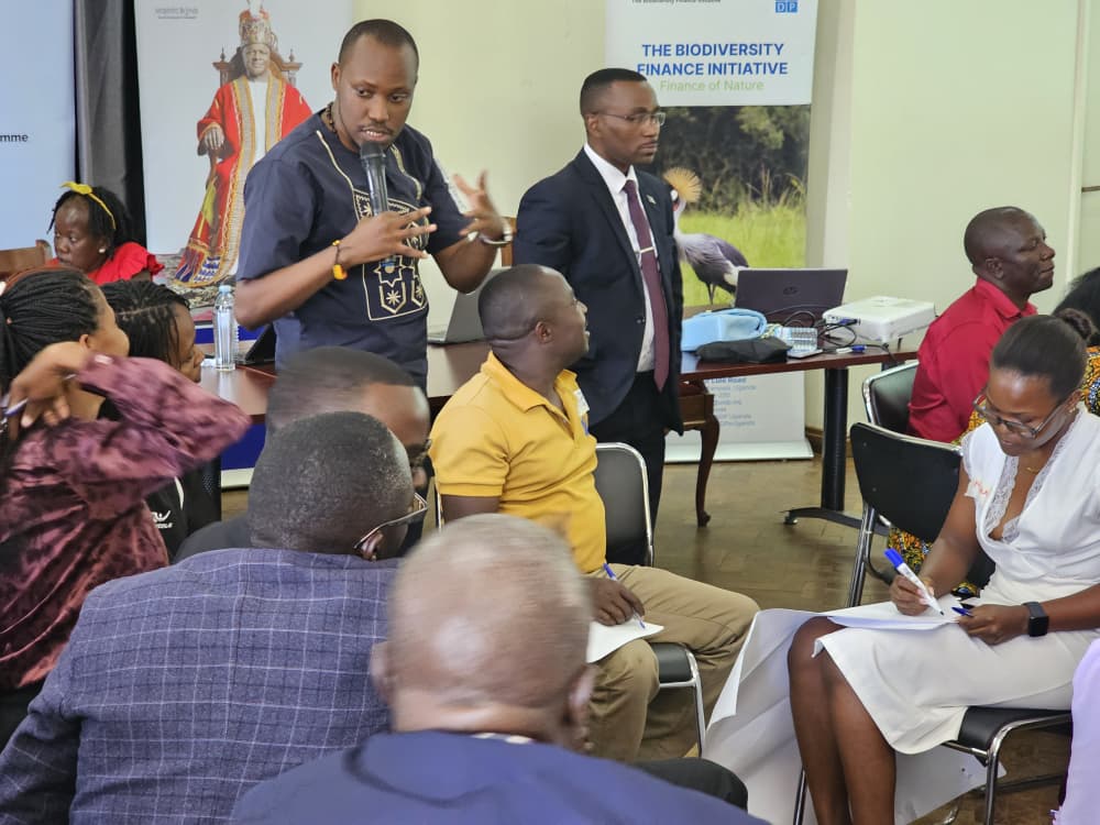Y4BioClimate's tweet image. Ongoing at Bulange Mengo:
Youth group discussions exploring the role of youth in forest restoration from advocacy and monitoring to on ground action.
#BIOFIN #GenGreen #ROOTS