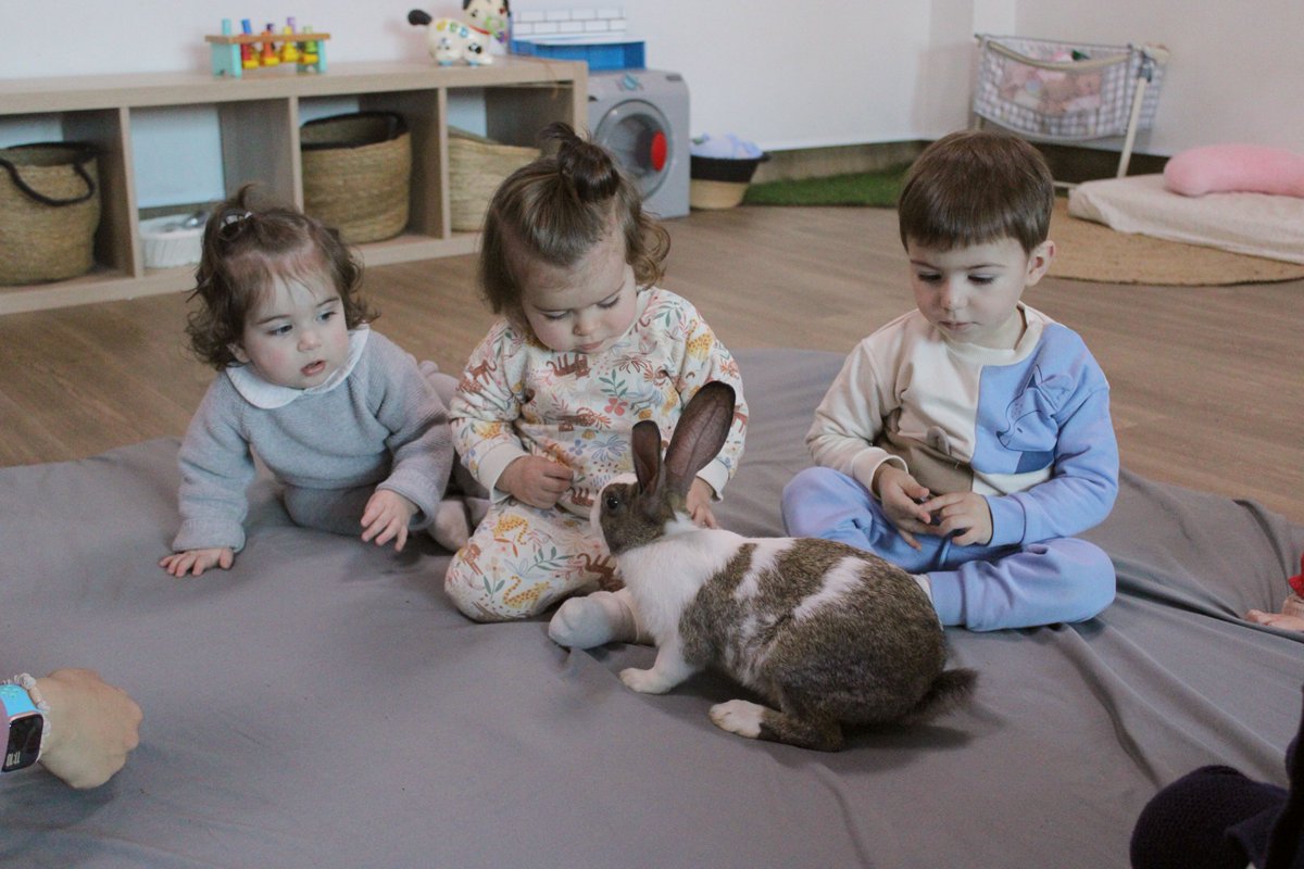 colsantpau's tweet image. LLAR | Els més petits de la Llar, els Enxanetes i els Negritos, hem tingut una sorpresa, ens ha visitat un dels conillets de la Grangeta del Sant Pau 😍🐰
Nou dia, noves experiències a la Llar 🥰💛
#JoSocdelSantPau #Llar
