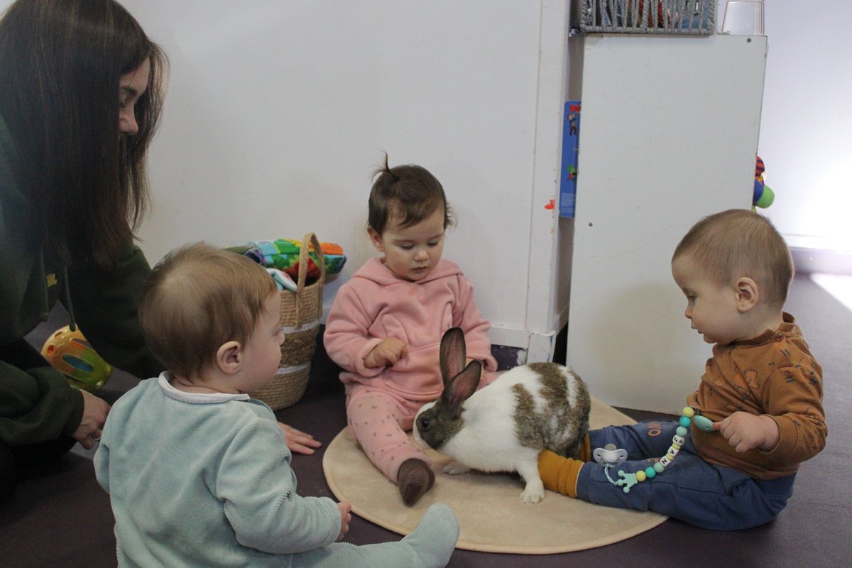 colsantpau's tweet image. LLAR | Els més petits de la Llar, els Enxanetes i els Negritos, hem tingut una sorpresa, ens ha visitat un dels conillets de la Grangeta del Sant Pau 😍🐰
Nou dia, noves experiències a la Llar 🥰💛
#JoSocdelSantPau #Llar