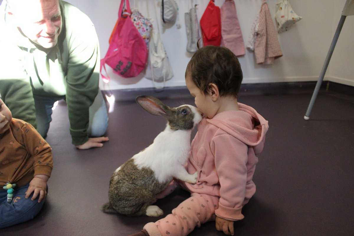 colsantpau's tweet image. LLAR | Els més petits de la Llar, els Enxanetes i els Negritos, hem tingut una sorpresa, ens ha visitat un dels conillets de la Grangeta del Sant Pau 😍🐰
Nou dia, noves experiències a la Llar 🥰💛
#JoSocdelSantPau #Llar
