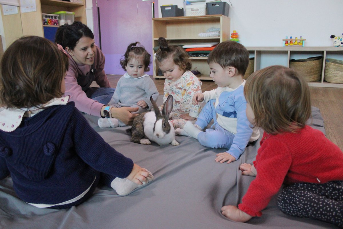 colsantpau's tweet image. LLAR | Els més petits de la Llar, els Enxanetes i els Negritos, hem tingut una sorpresa, ens ha visitat un dels conillets de la Grangeta del Sant Pau 😍🐰
Nou dia, noves experiències a la Llar 🥰💛
#JoSocdelSantPau #Llar