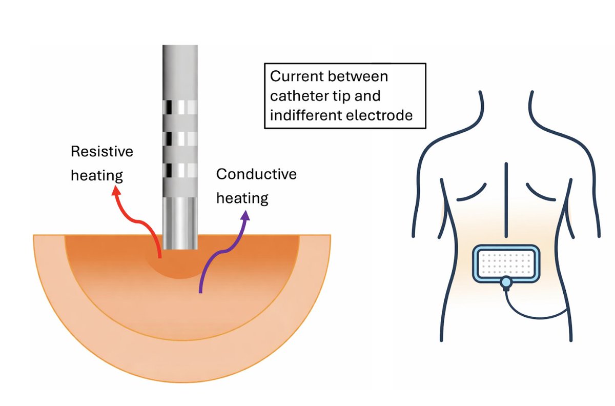EHRAPresident tweet media