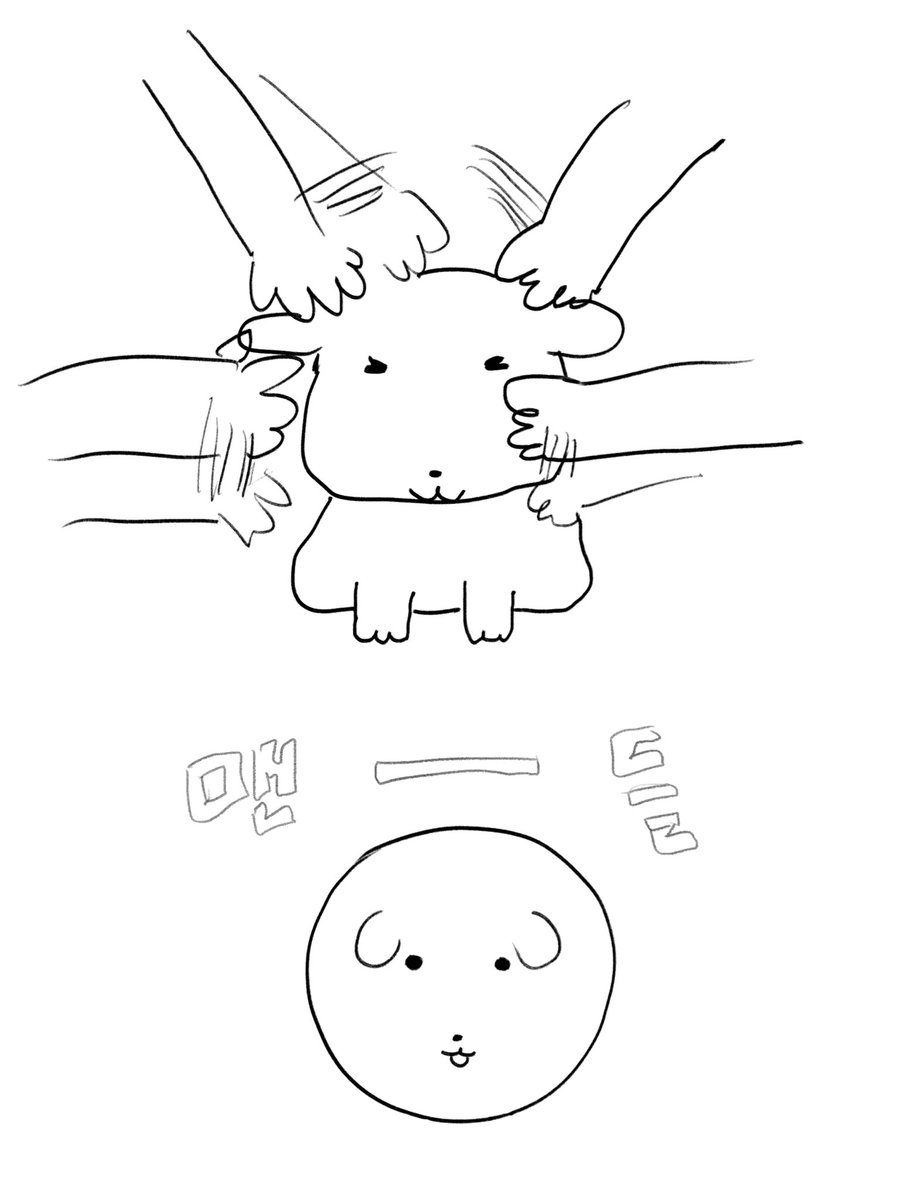 (반동결) Dato (@lsyispuppy) on Twitter photo 