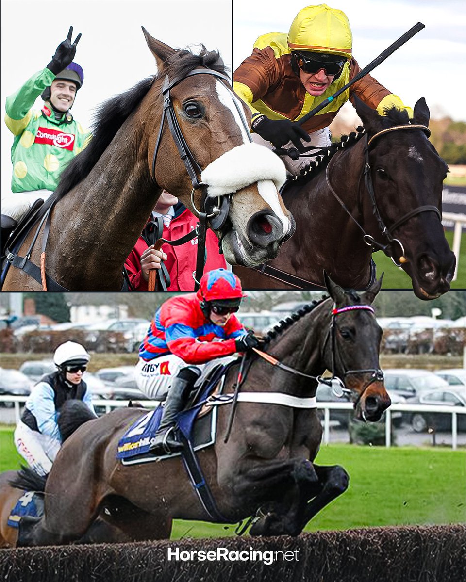 HorseRacing.net tweet media