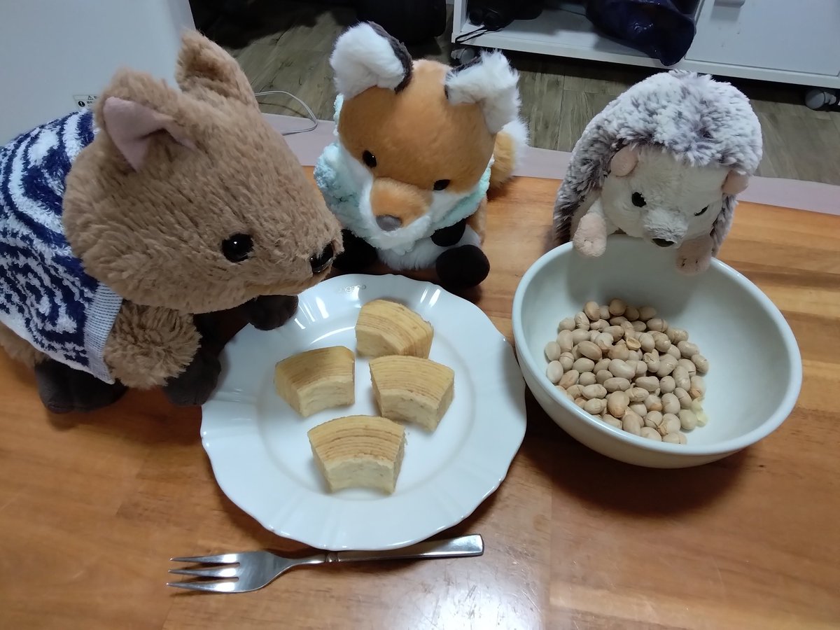 にゃー吉 (@nya_kichi_1215) / Posts / X