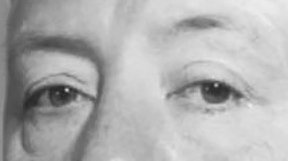 Bufo Calvin tweet media